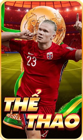Thể thao manclub